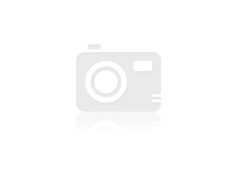 OG Flip Scorpion (top bracket only) for Moto/Samsung Flip